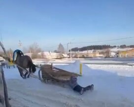 В Прикамье лошадь на скорости протащила ребенка по снегу во время катания