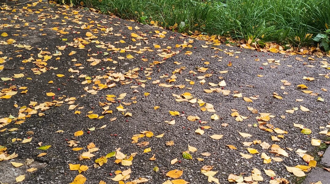 В Прикамье наступят первые заморозки
