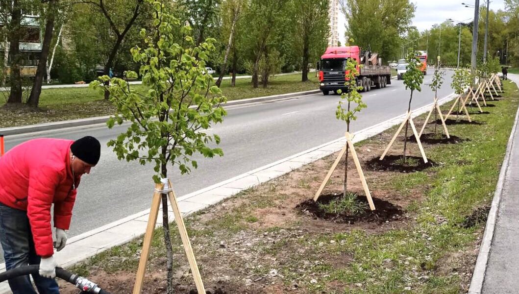 Пермяков зовут сажать деревья