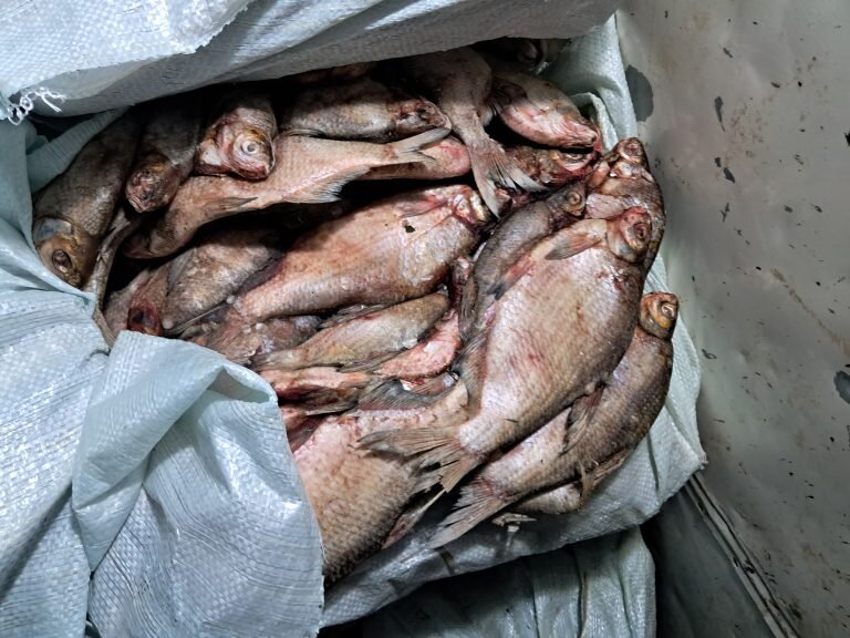 Рисунок1-8-768x576