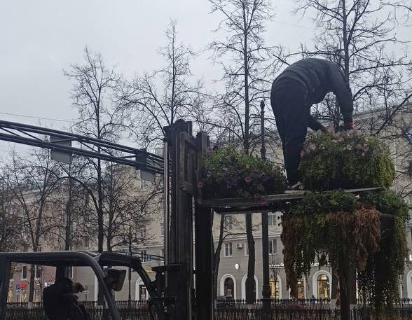 В центре Перми начали убирать мобильное озеленение