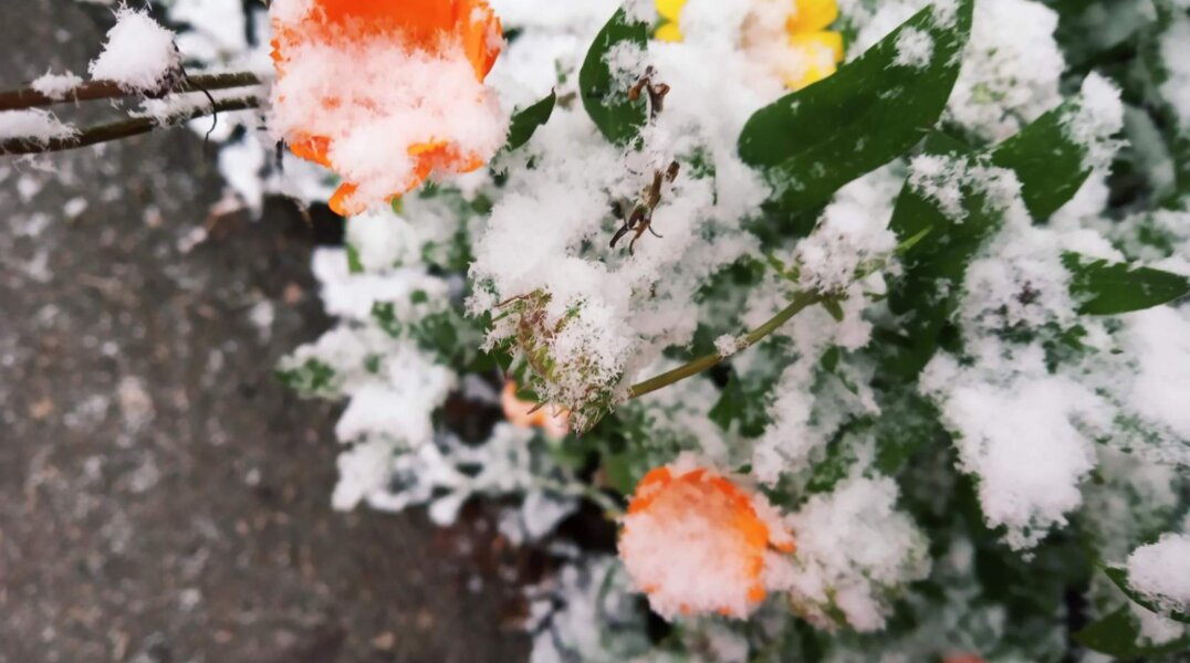 В Пермском крае ожидаются дожди и понижение температуры