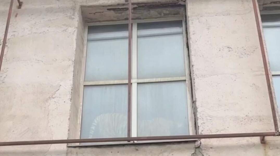 Живой тигр напугал покупателей мебельного магазина в Перми