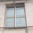 Живой тигр напугал покупателей мебельного магазина в Перми