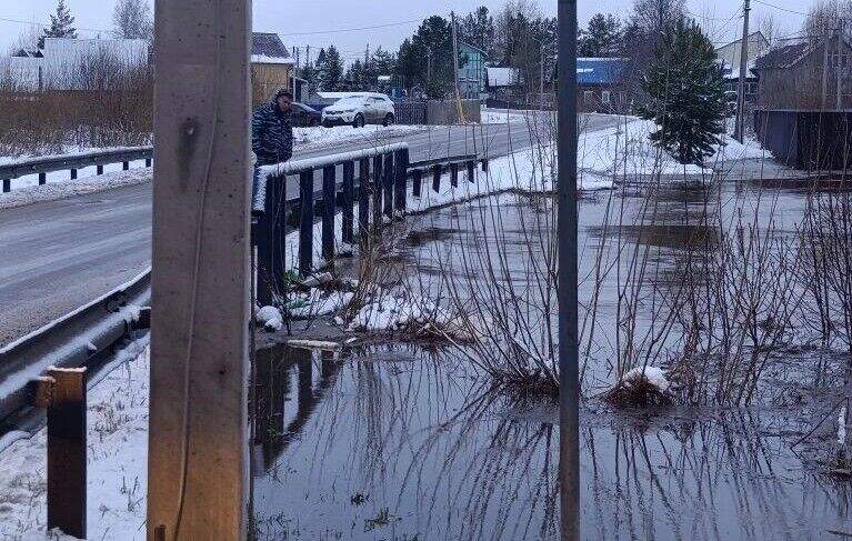 В Ласьве Краснокамского округа уже более 50 участков оказались затопленными