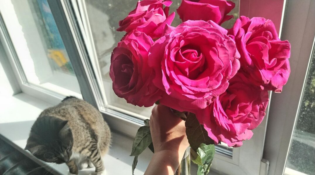 Пермские бизнесмены рассказали, насколько в Перми подорожают цветы к 8 Марта