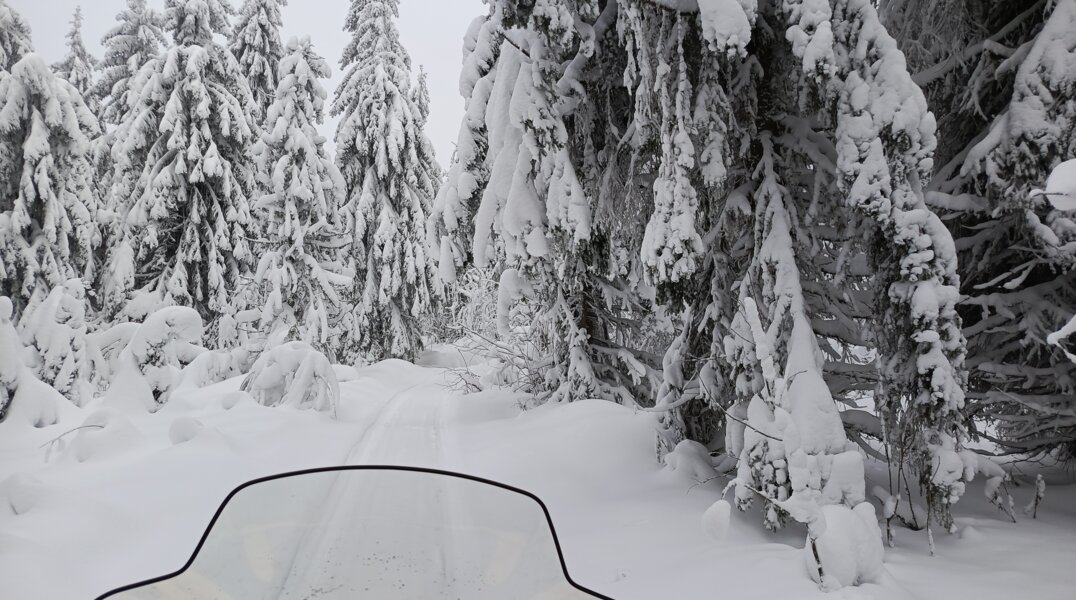 Четверо из пяти пропавших туристов погибли в Пермском крае