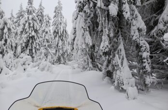 Через Прикамье в январе проедут участники Большой снегоходной экспедиции