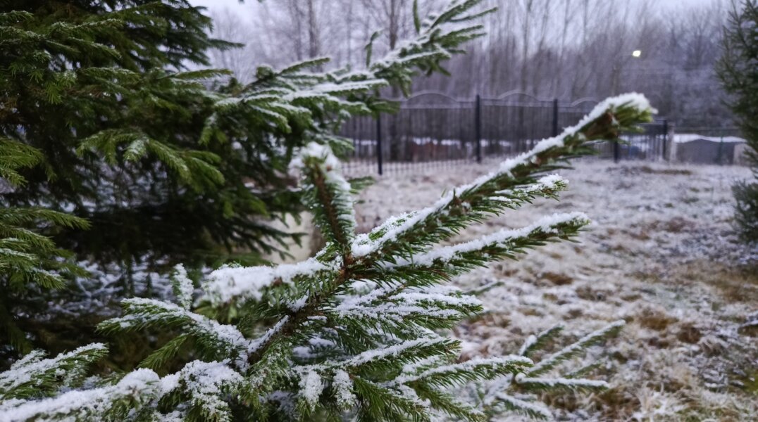 В Пермском крае дождливая погода сменится похолоданием
