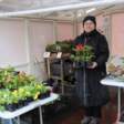 ​В Перми пройдет ярмарка рассады от местных производителей