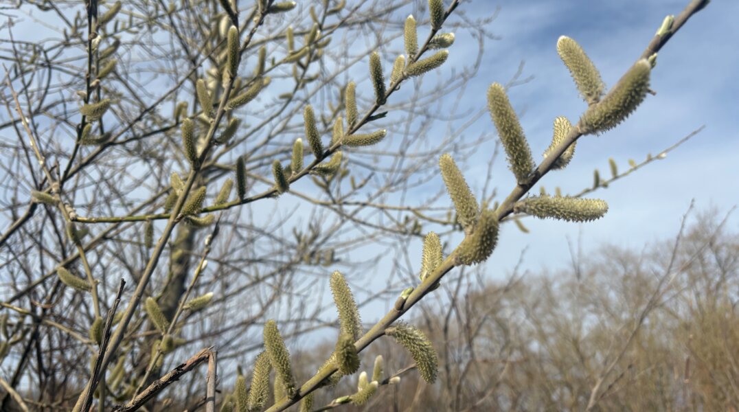 На Прикамье надвигается теплый фронт