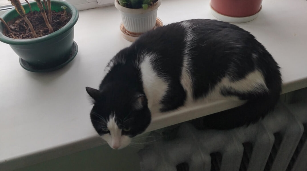 «Давили теплосети на полную»: Тимсервис получил паспорта готовности к отопительному сезону