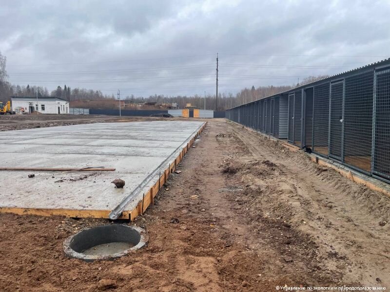 Строительство нового муниципального приюта для бездомных животных в Перми завершат в декабре