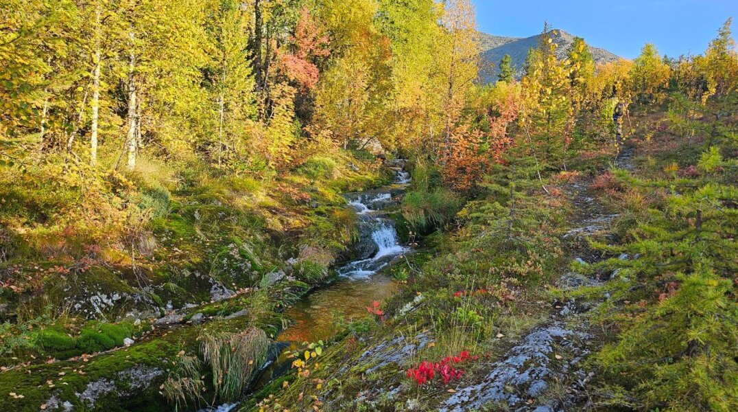 Заповедник "Вишерский" в Пермском крае объяснил, почему не может устранить нарушения, выявленные прокуратурой