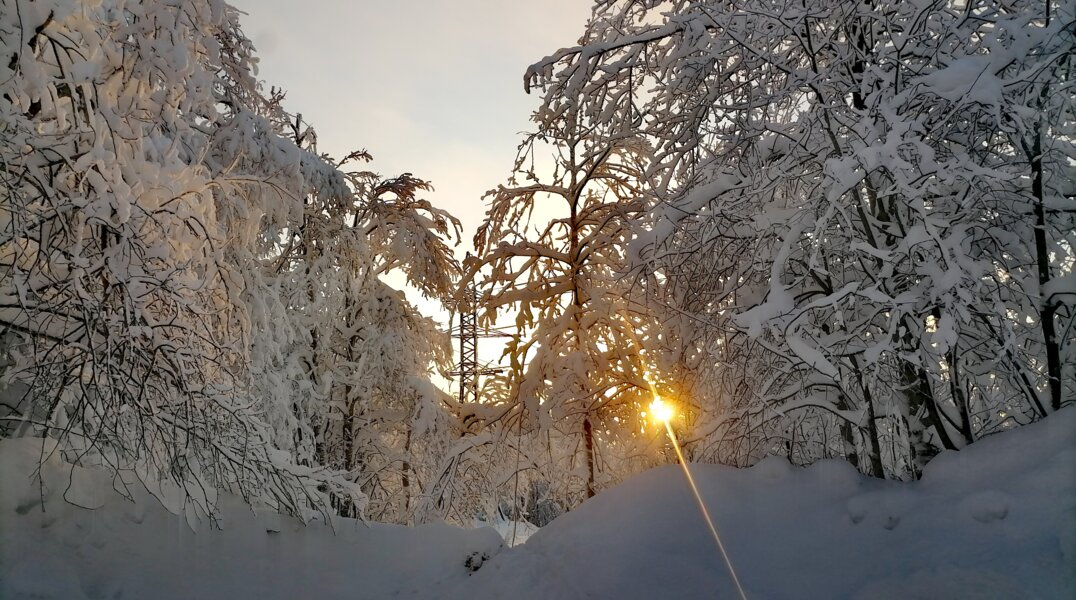Услугой платного посещения природных парков Прикамья воспользовалось почти 89 тысяч человек