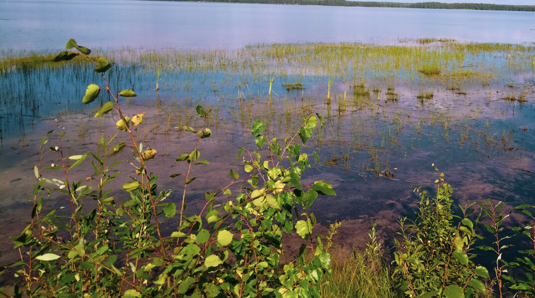 В Прикамье утонула 11-летняя девочка