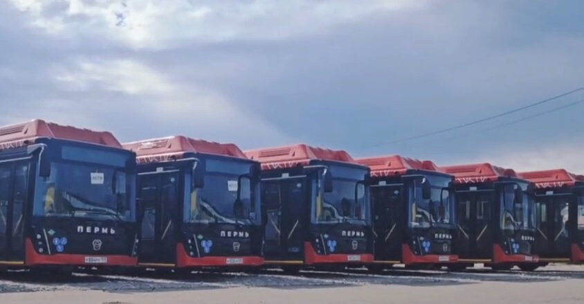 В Перми для улучшения движения маршрутов №2, 6 и 80 примут новых водителей