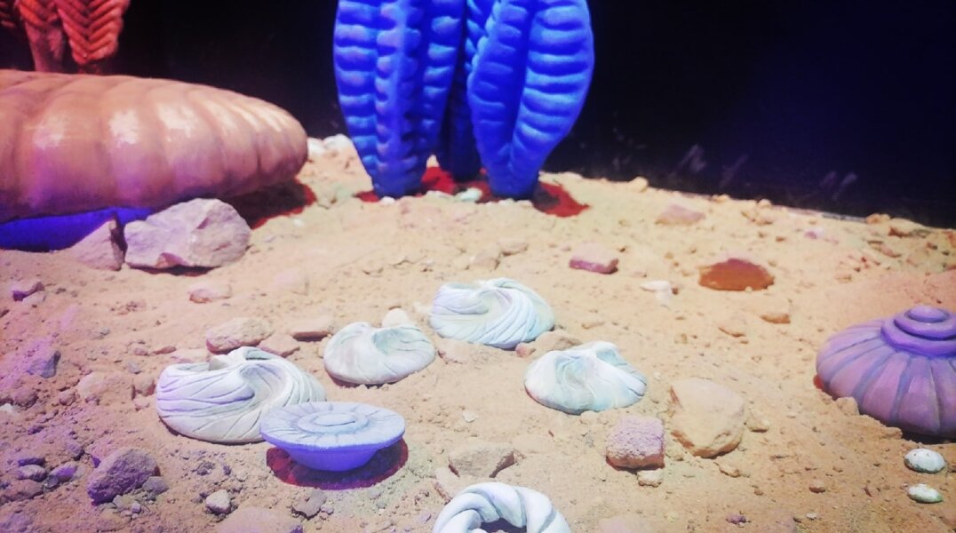 Животные-пончики, каска Победы и Дом гениев. Уникальности музеев малых городов Прикамья