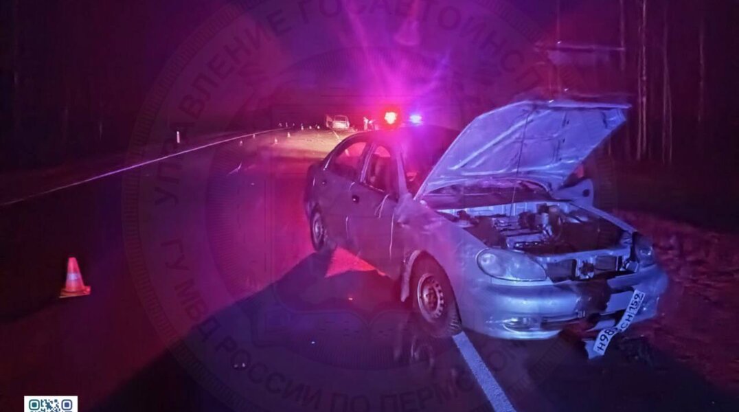 В Карагайском округе произошло смертельное ДТП с диким лосем