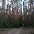  В Чусовом ищут 8-летнюю девочку, пропавшую по дороге в школу