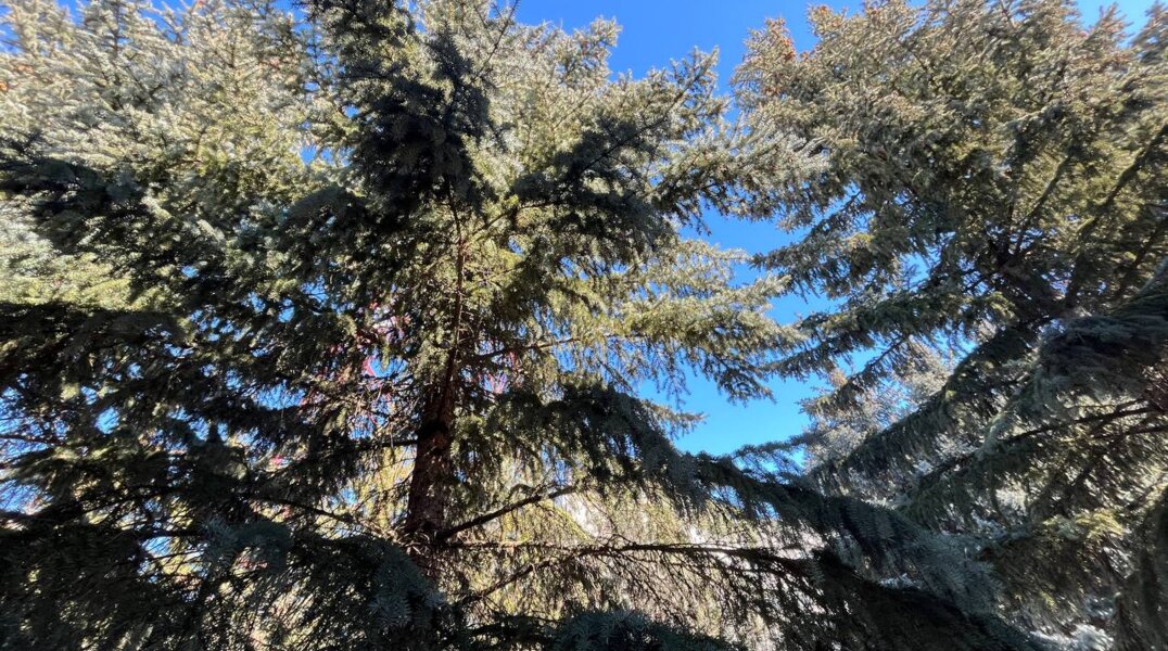 В Осе с начала апреля ищут 50-летнюю женщину