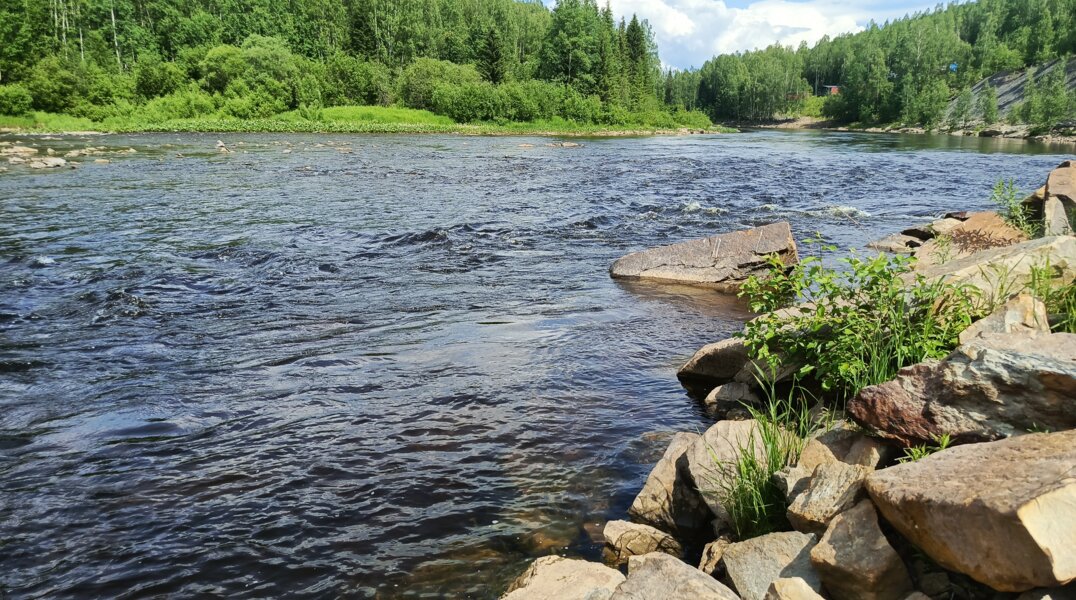 В Перми 2025 год стал самым теплым за всю историю наблюдений