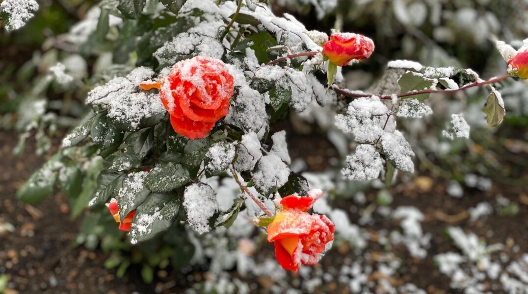 В Пермском крае ожидается гололед и выпадение мокрого снега