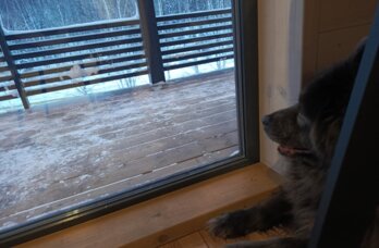 В Добрянском округе планируют построить круглогодичную базу отдыха