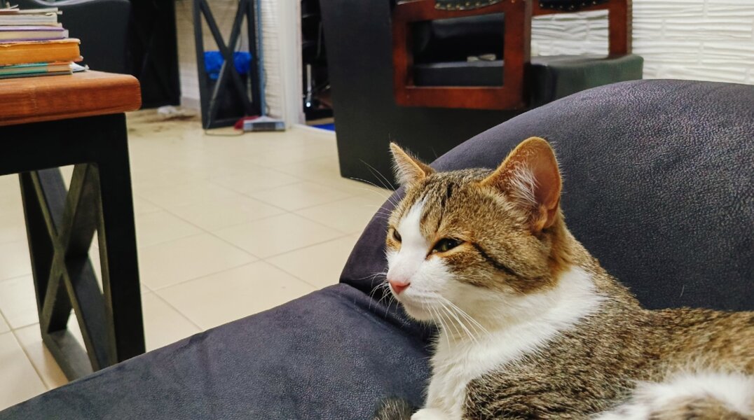 В Перми в три раза вырос спрос на франшизы парикмахерских и барбершопов