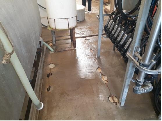 Пермский предприниматель отправил в регионы почти 19 тонн твороженного десерта неизвестного происхождения