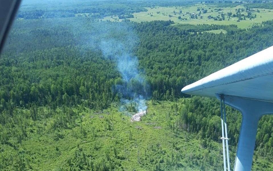 В пермских лесах прогнозируют повышенную пожарную опасность в мае 2025 года