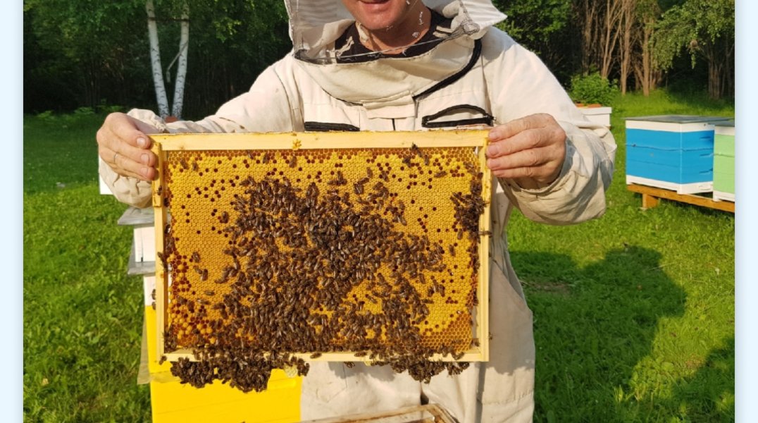 В 2025 году более пяти тысяч прикамцев заключили социальные контракты