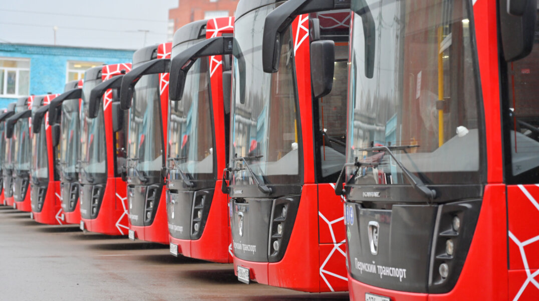 В Пермь поступило 59 новых автобусов