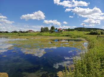 В курсе.ру