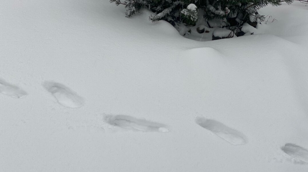Пропавший пермский рыбак найден живым