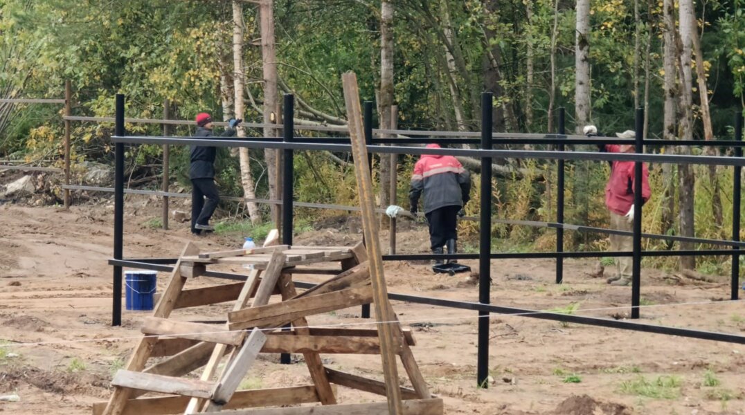 В конце года в Прикамье появится новый приют для бездомных животных