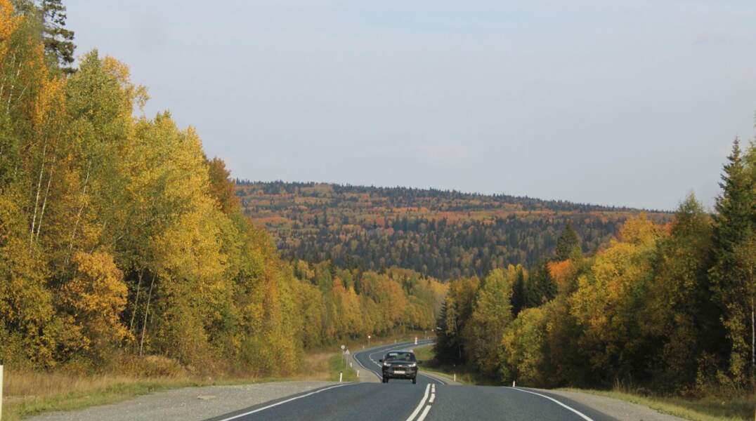 осень золотая 