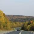 осень золотая 