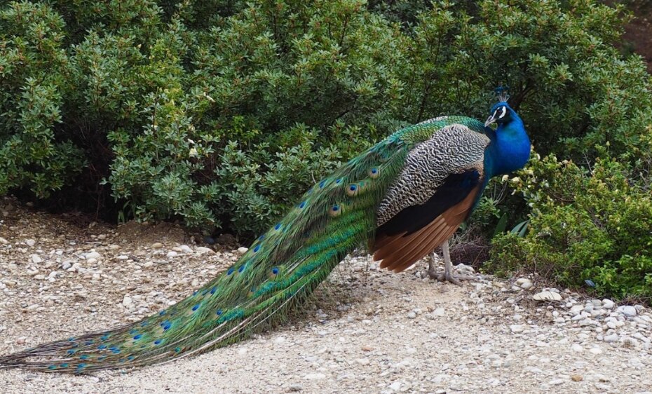 Журнал Vogue вновь отобрал для публикации на своих страницах фото уроженки Коми округа