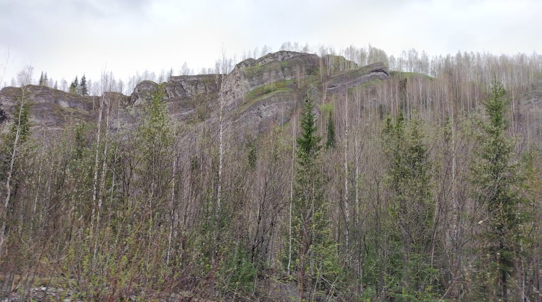 В Пермском крае обнаружены древнейшие окаменелости