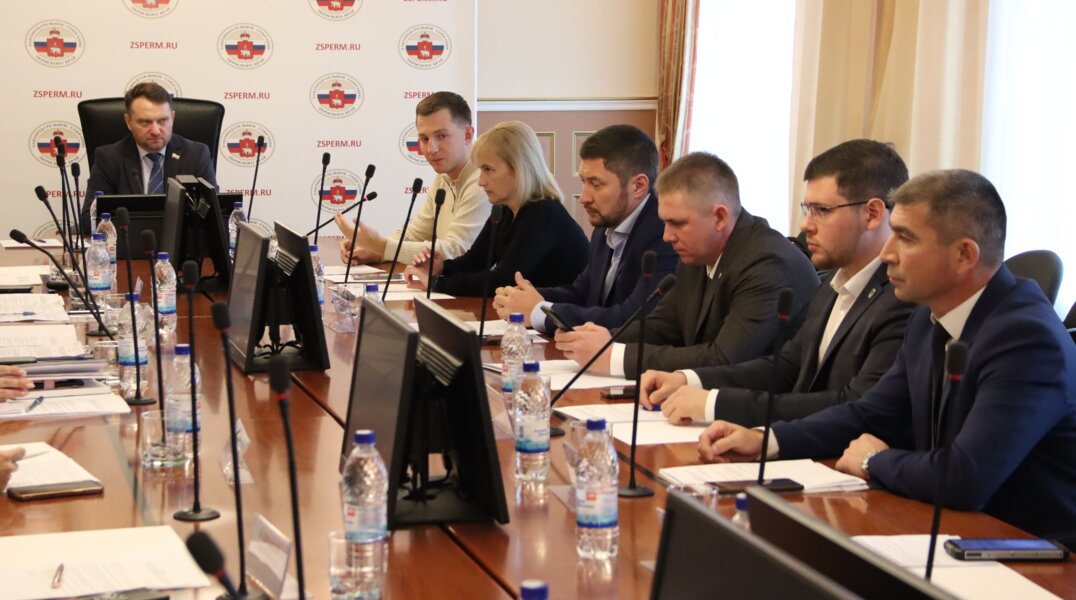 В Прикамье молодые парламентарии помогут сверстникам реализовать проекты благоустройства в территориях