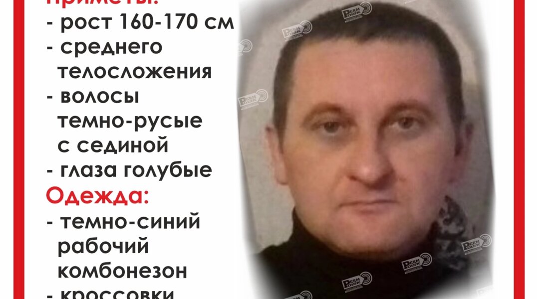 В лесах Пермского края пропал 43-летний мужчина с собакой