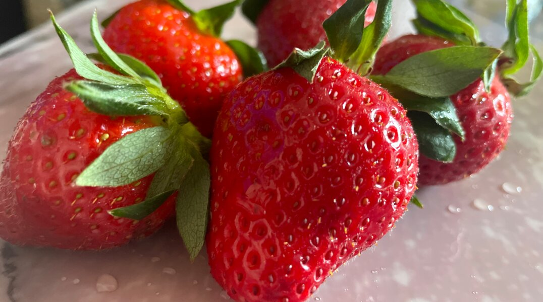 В Пермский край завезли более 34 тонн ягод и фруктов из Кыргызстана