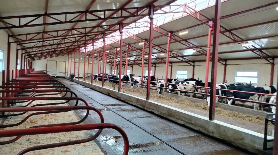 Благодаря инвестору из Удмуртии в Прикамье открыли новый животноводческий комплекс