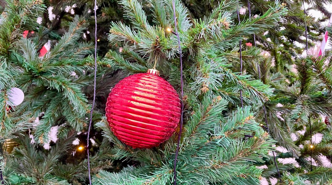 Стало известно, когда в пермском саду Миндовского зажгут огни на новогодней елке