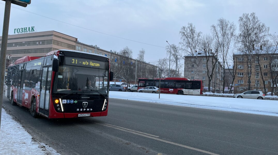 Пермские власти ищут перевозчика для пятилетней работы на маршруте №31