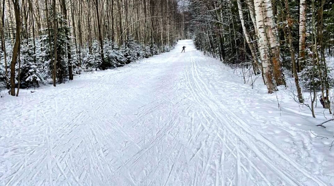 В Перми для реконструкции лыжной базы «Пермские медведи» сменили зонирование территории
