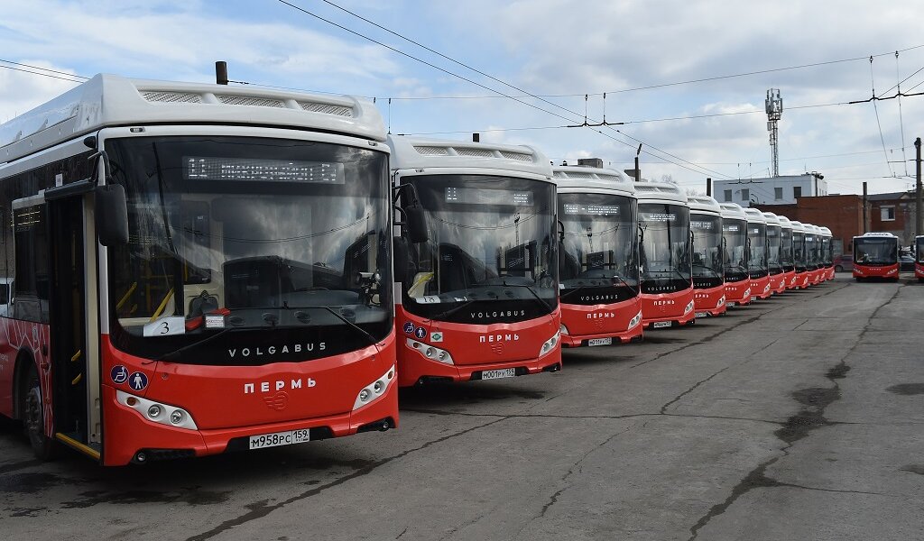 В Перми увеличится число автобусов с «тревожными» кнопками