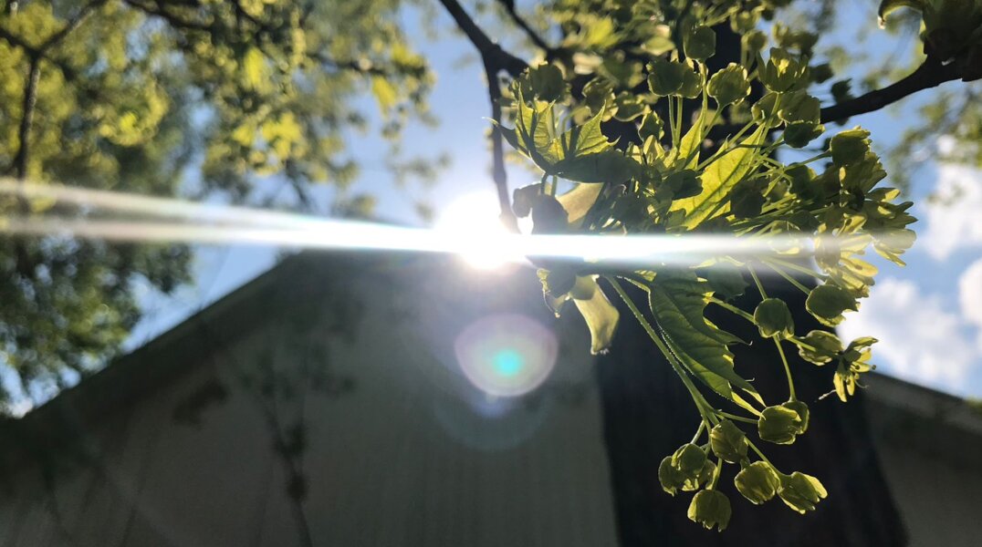 Последние дни марта станут самыми теплыми в этом году