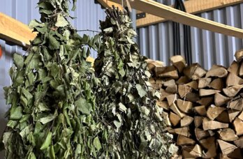 Пермяки стали чаще нанимать ведущих и банщиков к 8 марта